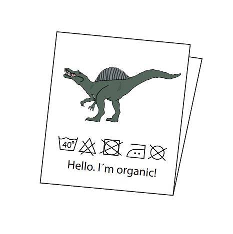 Dino Labels
