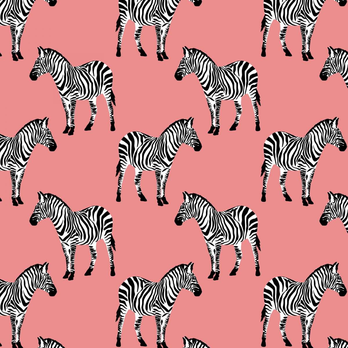 Zebras pink Jersey